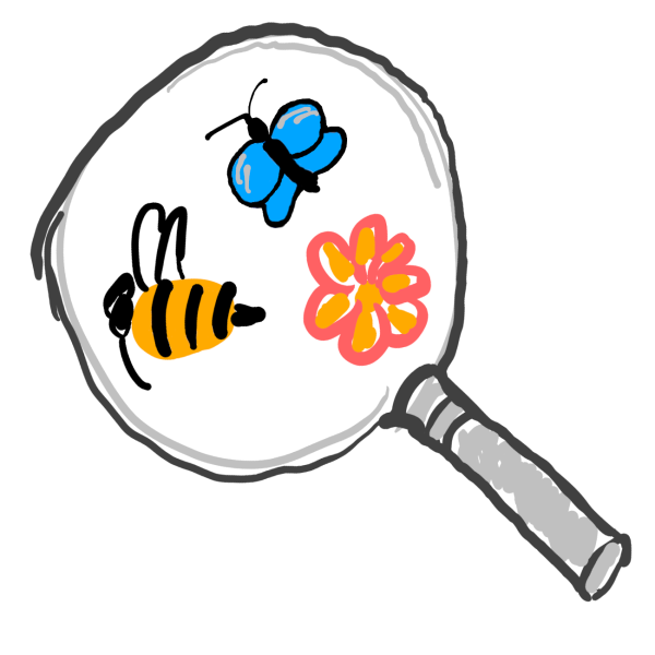 szerző: szv, forrás: pollinator-monitoring.hu